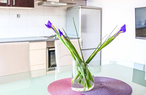Grebastica Apartment | Gorgeous apartment in Grebastica with WiFi