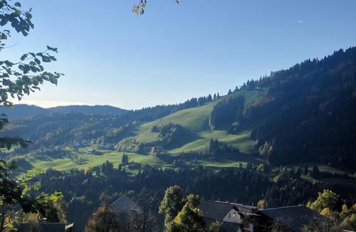 Cetena Ravan House | Gostišče in Penzion Stari Vrh