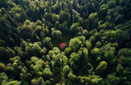 Hrib pri Hinjah Ski Chalet | Gozdna koča Studeno