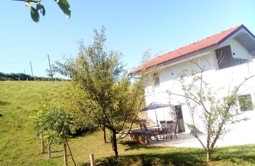 Metlika House | Grajsko