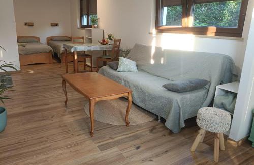 Tolmin Apartment | Gravitacija East