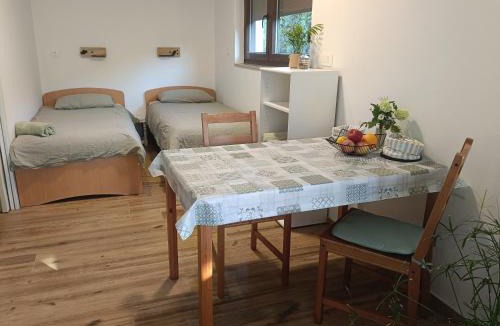 Tolmin Apartment | Gravitacija East