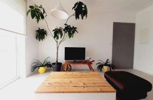 Lesce Apartment | Green Bee Apartment