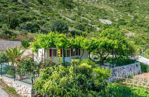 Zaton House | Holiday Home Garden