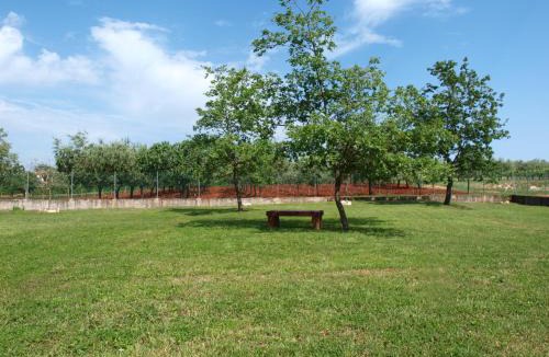 Gedici House | Holiday Home Rosa