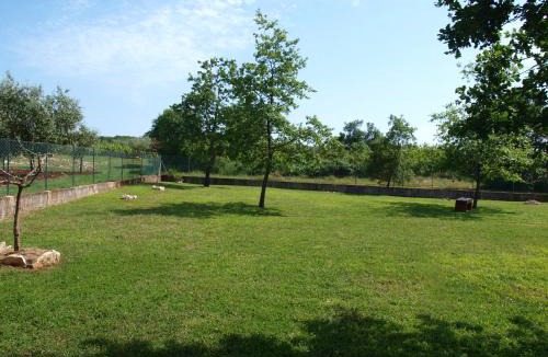Gedici House | Holiday Home Rosa