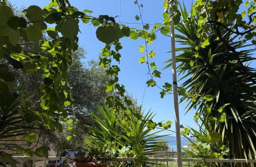 Duce House | Hostel Guesthouse Mira