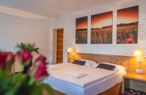 Kozina Hotel | Hotel Admiral Kozina