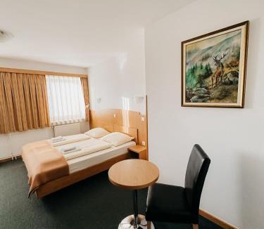 Preddvor House | Hotel Oskar Zaplata