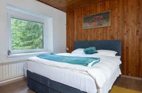 Hocko Pohorje Ski Chalet | House Angelca