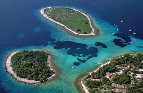 Veliki Drvenik Apartment | Apartment Niki - 5m from the sea: A1-Mande (3+1) - Drvenik Veli (Island Drvenik Veli), Riviera