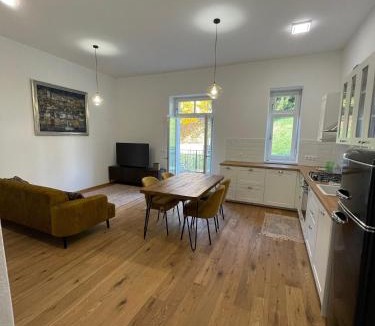 Maribor Apartment | Ipavčeva vila
