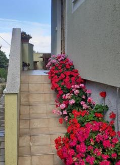 Loznati Apartment | Kelk Loznati