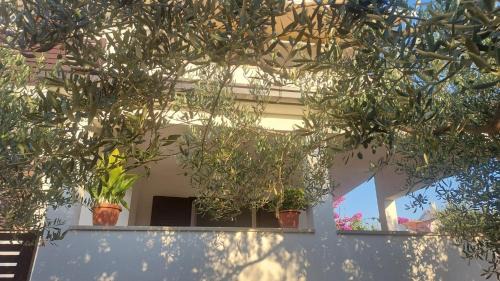 Supetar Apartment | L'Oasi a Supetar