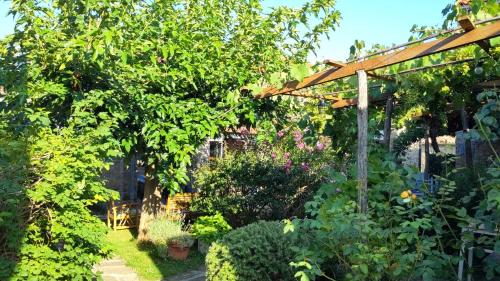 Koper House | Labor istrska hiška