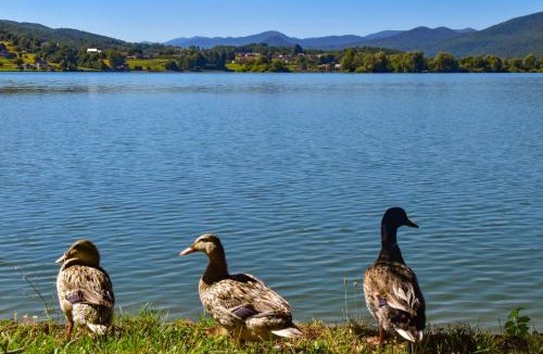 Ogulin Apartment | Lake Crown