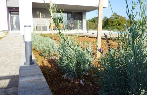 Sumber House | Lavender Villa by Interhome