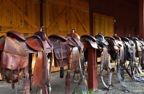 Velika Plana Apartment | Linden Tree Retreat & Ranch