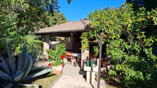 Ankaran Apartment | Magnolia Garden, 12 min walk to the beach