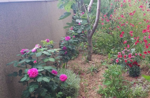 Stobrec Apartment | Mariner - Summer garden delight