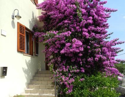 Premantura Apartment | Mata Apartments