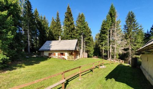 Bohinj House | MOUNTAIN ECO CHALET KONJSKA DOLINA on 1400 m asl -near Pokljuka