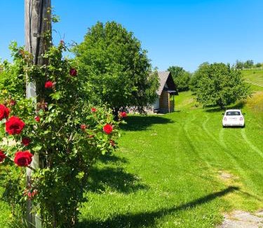 Cerklje ob Krki House | NANI HOUSE, Nature Stay by Gorjanci