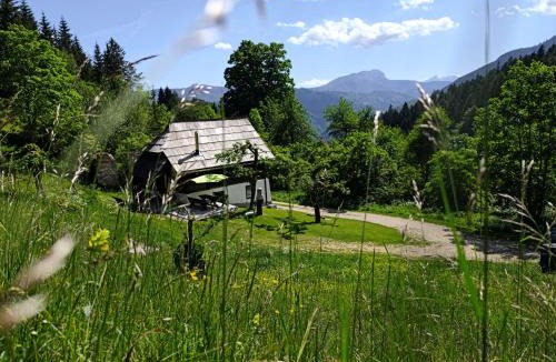 Slovenia House | Natur pur Pikovo