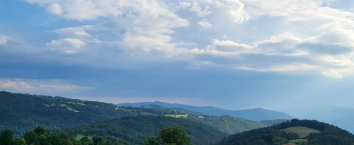 Tolmin Other | Oddih pr Toniqu