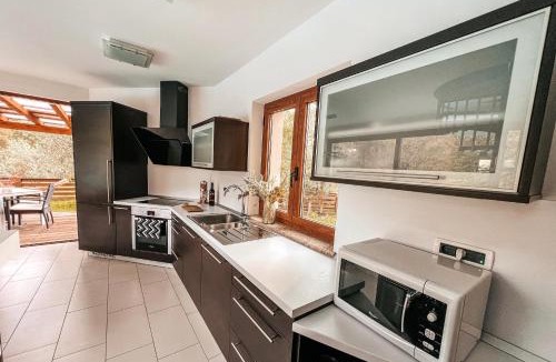 Sezana Apartment | Olive garden family apartment with private pool