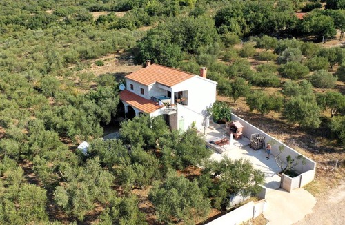Posedarje Villa | Olive garden Platinum, Posedarje