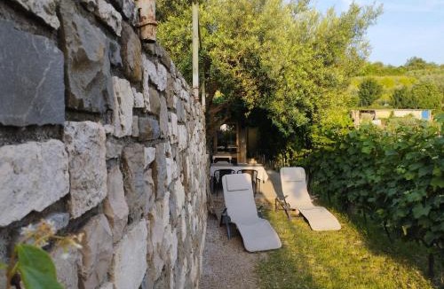 Strunjan Apartment | Olive ranch