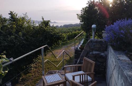 Strunjan Apartment | Olive ranch