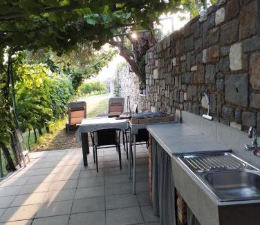 Strunjan Apartment | Olive ranch