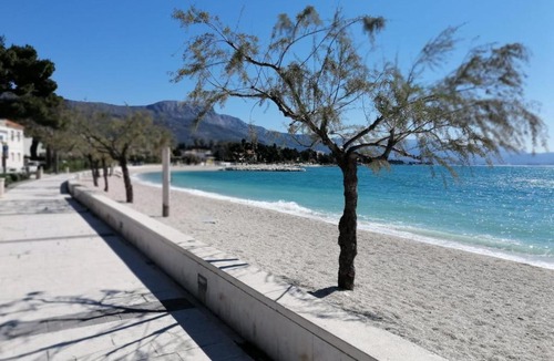 Kastela Apartment | Olive Tree Apartment