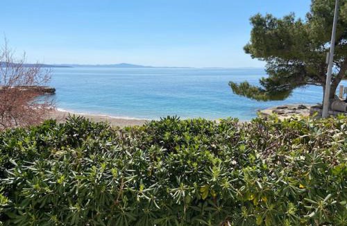 Ivan Dolac Apartment | On the Beach Ivan Dolac