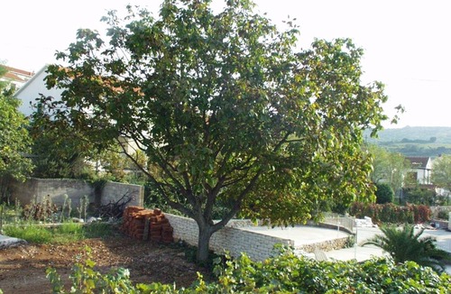 Sutivan Apartment | One bedroom apartment with balcony Sutivan, Brač (A-752-a)