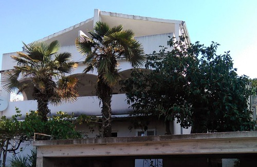 Tijesno Apartment | One bedroom apartment with terrace and sea view Tisno, Murter (A-814-b)