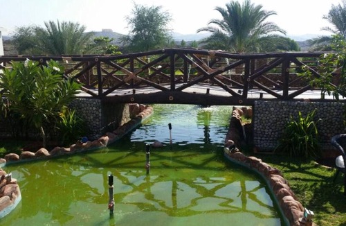 Mleiha Other | Palm Haven Farmhouse - Wadi Ashwani Escape