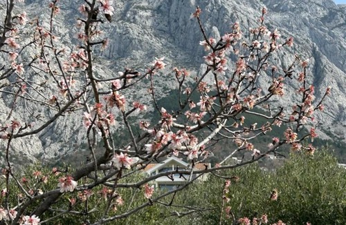 Bast House | Panoramic Sea View Villa in Bast, near Baska Voda - Pool, Sports Court, BBQ & Starlink