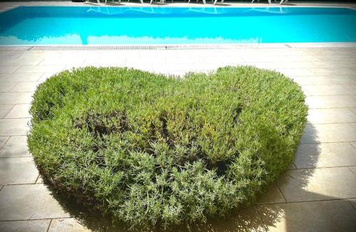 Mali Maj Bed & Breakfast | Pansion Margerita