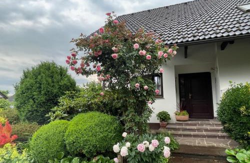 Zasip Apartment | Pleasant Apartments