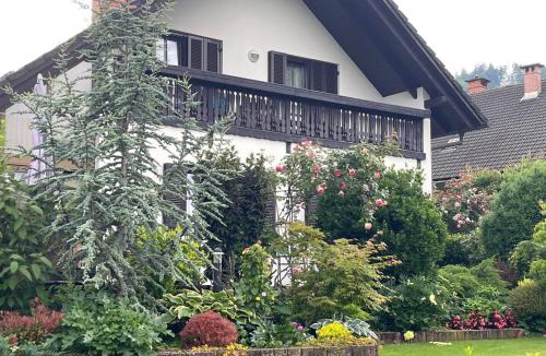 Zasip Apartment | Pleasant Apartments