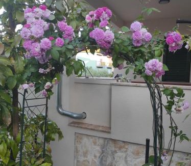 Preko House | Podvršina1A Rosa