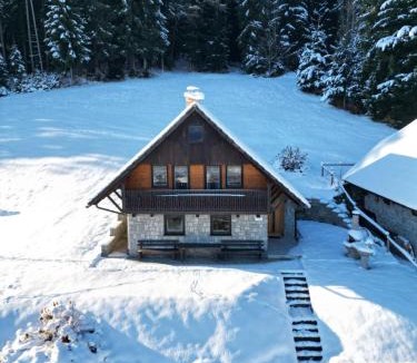 Ribnica na Pohorju House | Private Forest Cabin with Epic View