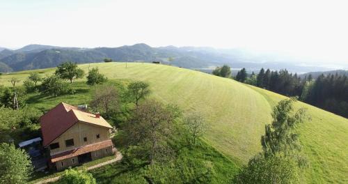 Pohorje Apartment | Razborca