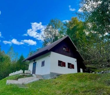 Tolmin House | Relax house AVUS with Sauna