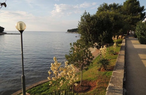Vrvari Apartment | Rosemary flat with terrace and pool