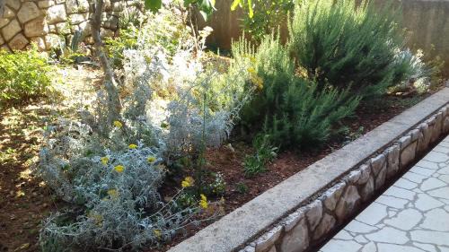 Cres Apartment | Roza
