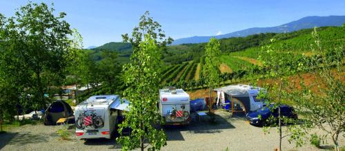 Zalosce Other | Saxida Wine & Camping Resort - Campsite
